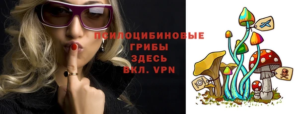 ECSTASY Ладушкин