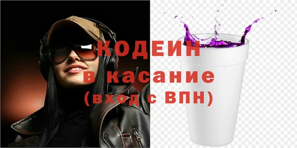 прущие грибы Чита