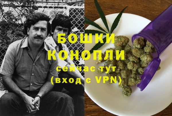 ECSTASY Ладушкин