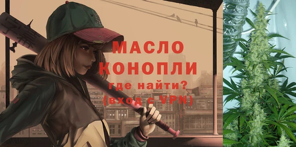 шишки Архангельск