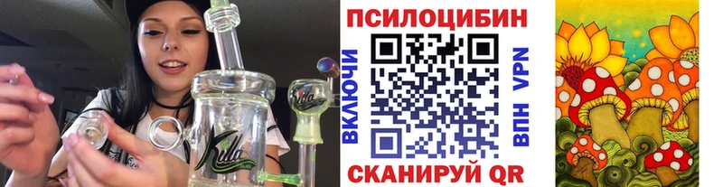 цена Сясьстрой Псилоцибиновые грибы прущие грибы